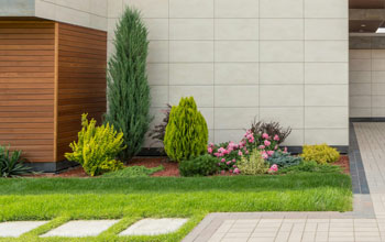 SDBS Landscape Design Services
