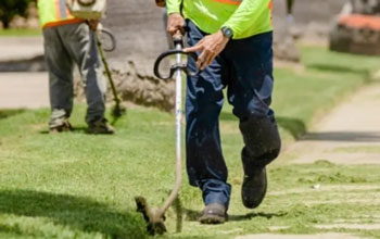 SDBS Lawncare Services