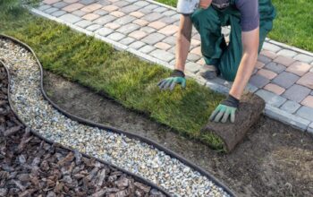 SDBS_seasonal_planting