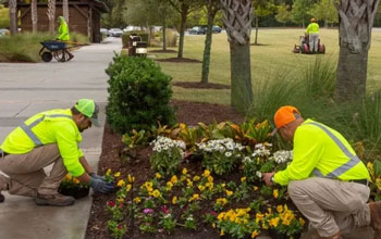 SDBS_seasonal_planting