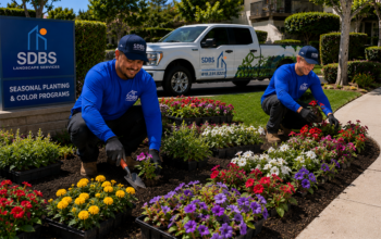 Seasonal Planting and Color Programs