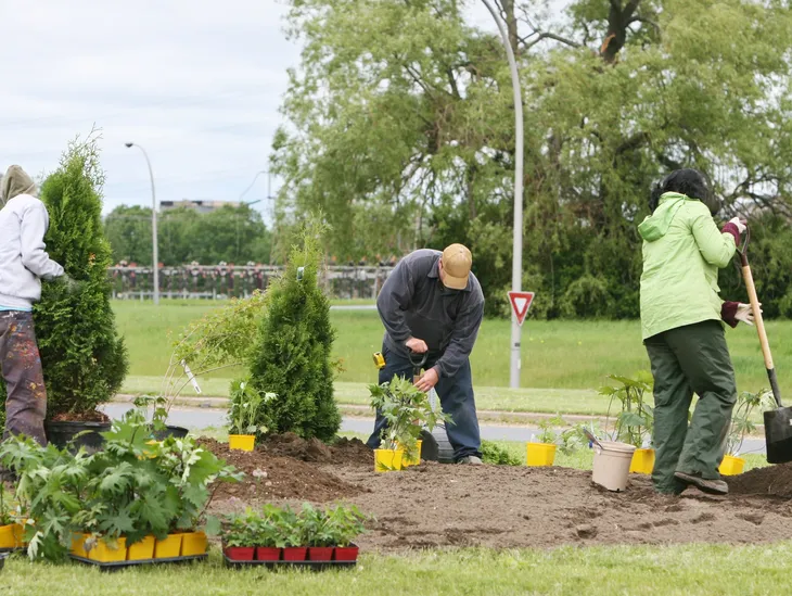 SDBS landscape services