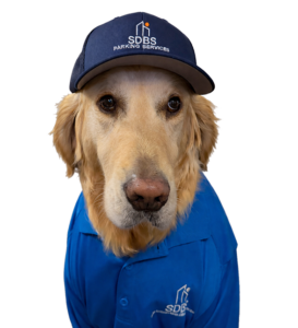 Sammie the Parking Attendant