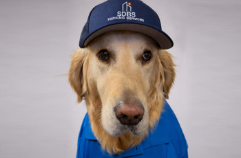 Sammie – Sr. Pawking Enforcement Officer