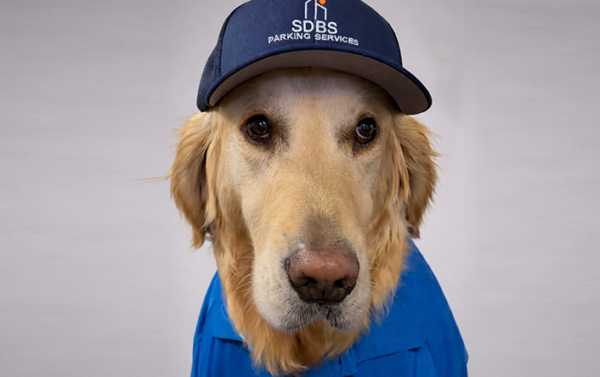 Sammie – Sr. Pawking Enforcement Officer
